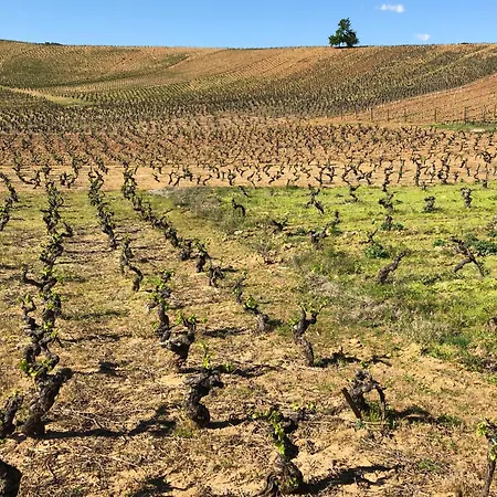 Boutique Esencial Rural *