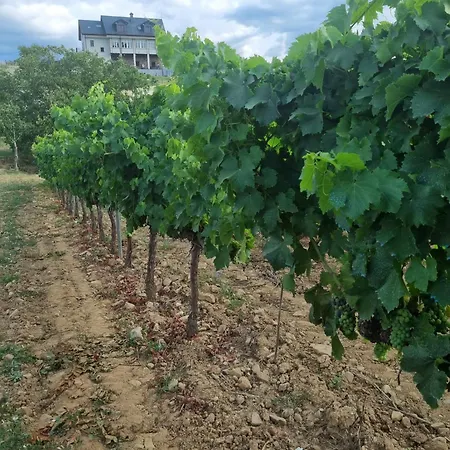 Boutique Esencial Rural Hotel Villafranca Del Bierzo