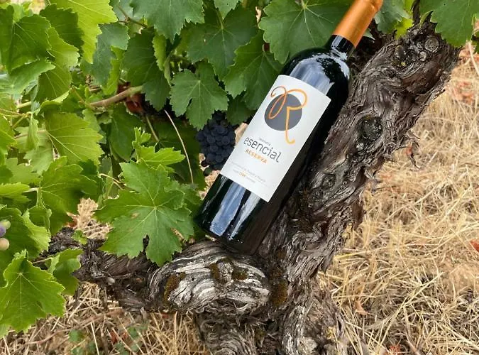 Boutique Esencial Rural Hotel