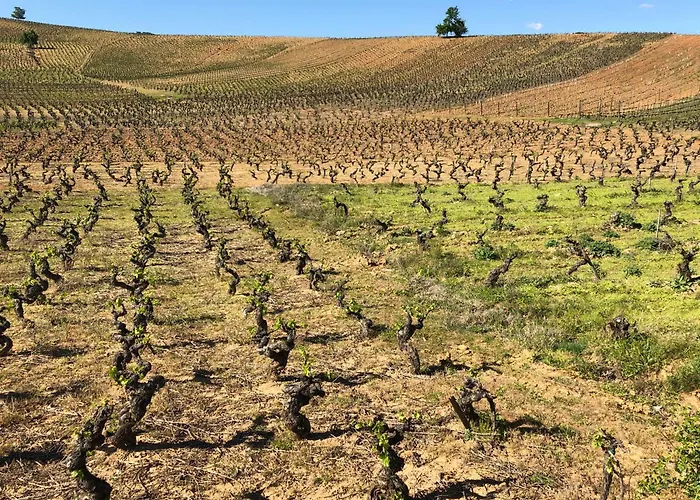 Boutique Esencial Rural *