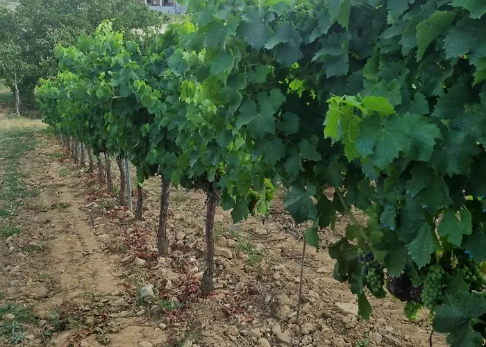 Boutique Esencial Rural Hotel Villafranca Del Bierzo